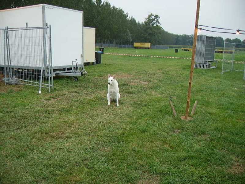 ../Images/Tohrn western event 067.jpg